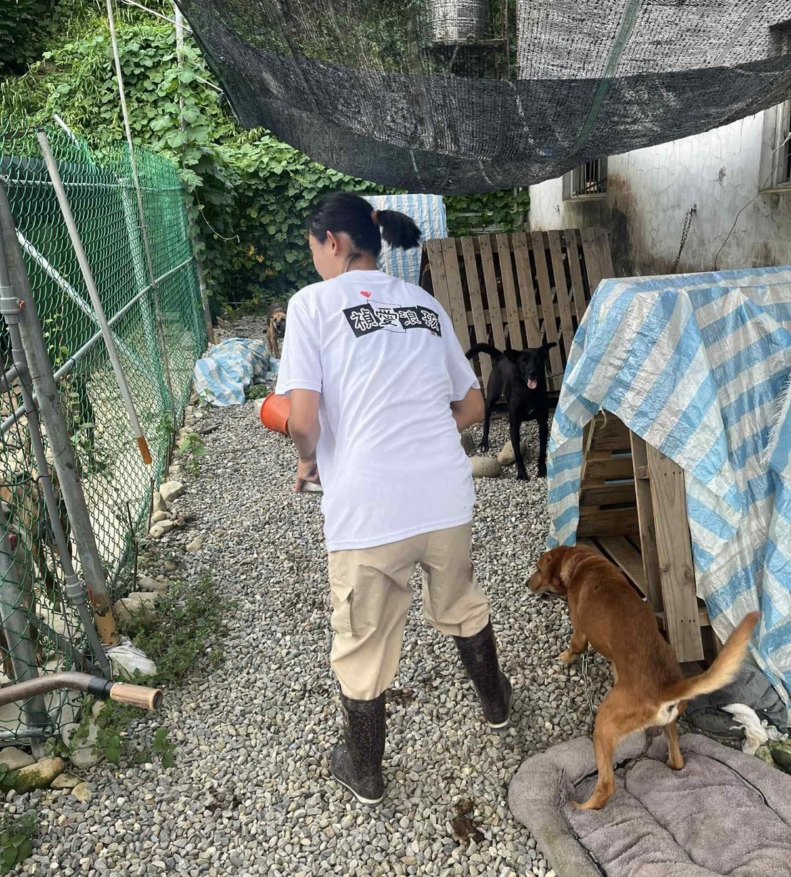 S__109002758_0.webp